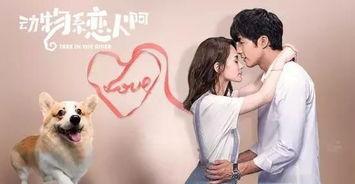 动物系恋人啊在线观看,一场跨越物种的浪漫奇遇 第1张 动物系恋人啊在线观看,一场跨越物种的浪漫奇遇 第1张